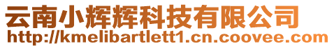 云南小輝輝科技有限公司