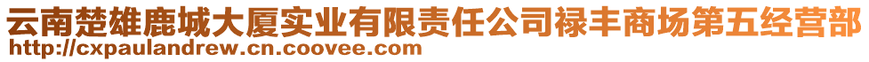 云南楚雄鹿城大廈實業(yè)有限責(zé)任公司祿豐商場第五經(jīng)營部