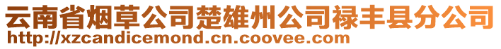 云南省烟草公司楚雄州公司禄丰县分公司