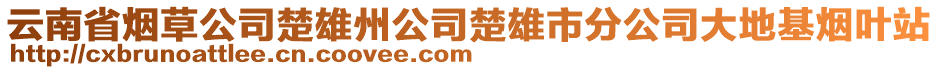 云南省煙草公司楚雄州公司楚雄市分公司大地基煙葉站