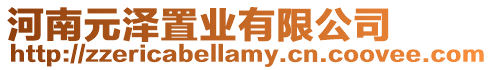 河南元澤置業有限公司