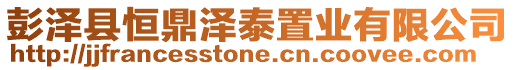 彭澤縣恒鼎澤泰置業(yè)有限公司