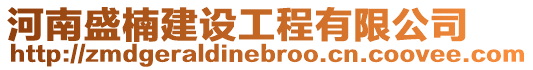 河南盛楠建設工程有限公司
