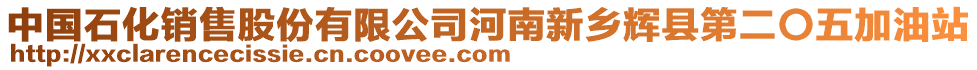 中國石化銷售股份有限公司河南新鄉(xiāng)輝縣第二〇五加油站