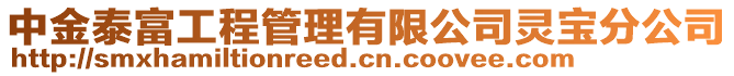 中金泰富工程管理有限公司靈寶分公司