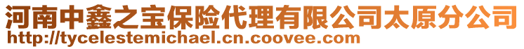 河南中鑫之宝保险代理有限公司太原分公司