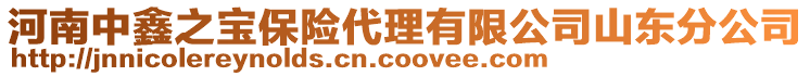 河南中鑫之寶保險代理有限公司山東分公司