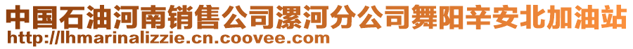 中國石油河南銷售公司漯河分公司舞陽辛安北加油站