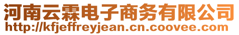 河南云霖電子商務有限公司