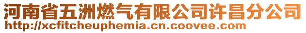 河南省五洲燃?xì)庥邢薰驹S昌分公司