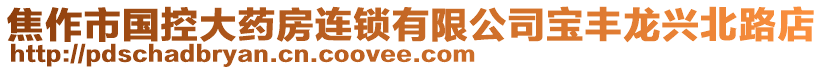 焦作市國控大藥房連鎖有限公司寶豐龍興北路店