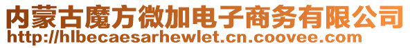 內蒙古魔方微加電子商務有限公司