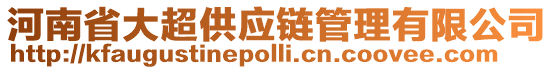 河南省大超供應(yīng)鏈管理有限公司