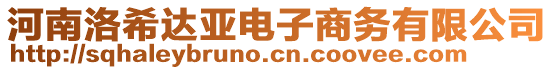 河南洛希達(dá)亞電子商務(wù)有限公司