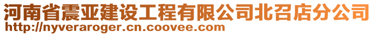 河南省震亞建設(shè)工程有限公司北召店分公司