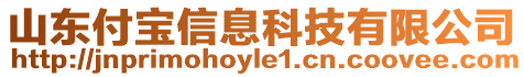 山東付寶信息科技有限公司