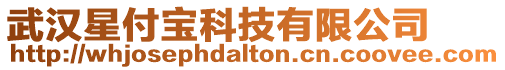 武漢星付寶科技有限公司