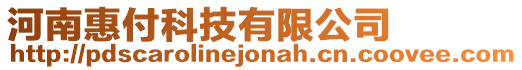 河南惠付科技有限公司