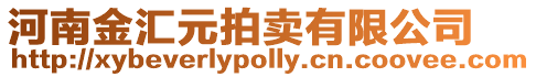河南金匯元拍賣有限公司
