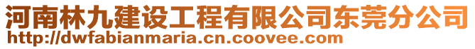 河南林九建設工程有限公司東莞分公司