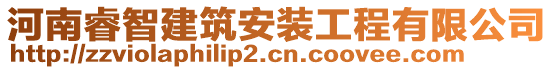 河南睿智建筑安裝工程有限公司