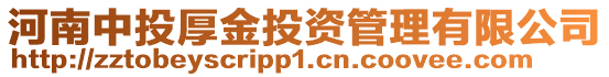 河南中投厚金投資管理有限公司