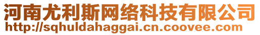 河南尤利斯網(wǎng)絡(luò)科技有限公司