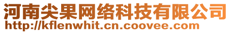 河南尖果網(wǎng)絡(luò)科技有限公司