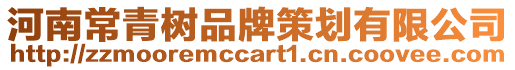 河南常青樹品牌策劃有限公司