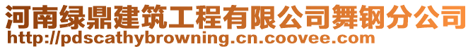 河南绿鼎建筑工程有限公司舞钢分公司