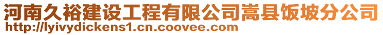 河南久裕建設工程有限公司嵩縣飯坡分公司