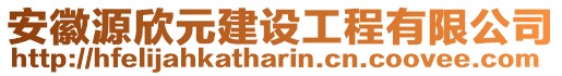 安徽源欣元建設(shè)工程有限公司