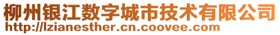 柳州銀江數(shù)字城市技術(shù)有限公司