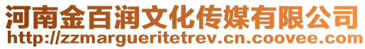 河南金百潤文化傳媒有限公司