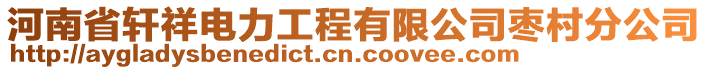 河南省軒祥電力工程有限公司棗村分公司