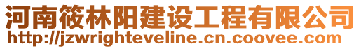 河南筱林陽建設工程有限公司