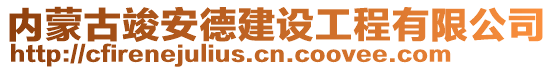 内蒙古竣安德建设工程有限公司