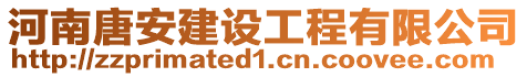 河南唐安建設(shè)工程有限公司