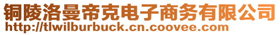 銅陵洛曼帝克電子商務(wù)有限公司