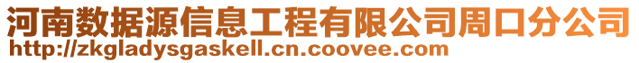 河南數(shù)據(jù)源信息工程有限公司周口分公司