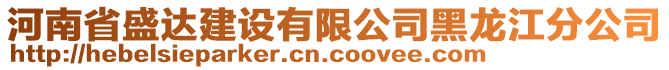 河南省盛達(dá)建設(shè)有限公司黑龍江分公司