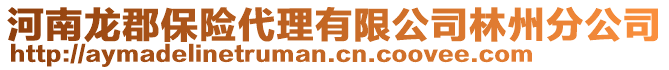 河南龍郡保險(xiǎn)代理有限公司林州分公司