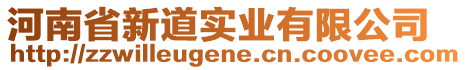 河南省新道實(shí)業(yè)有限公司