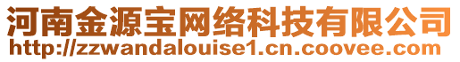 河南金源寶網(wǎng)絡(luò)科技有限公司