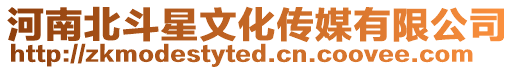 河南北斗星文化傳媒有限公司