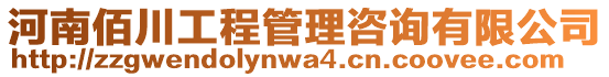 河南佰川工程管理咨詢有限公司