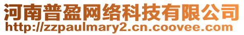 河南普盈網(wǎng)絡(luò)科技有限公司