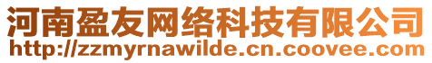 河南盈友網(wǎng)絡(luò)科技有限公司