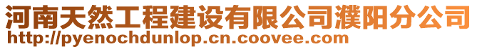 河南天然工程建設有限公司濮陽分公司