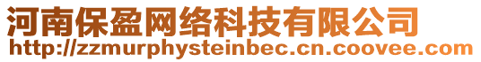 河南保盈網(wǎng)絡(luò)科技有限公司